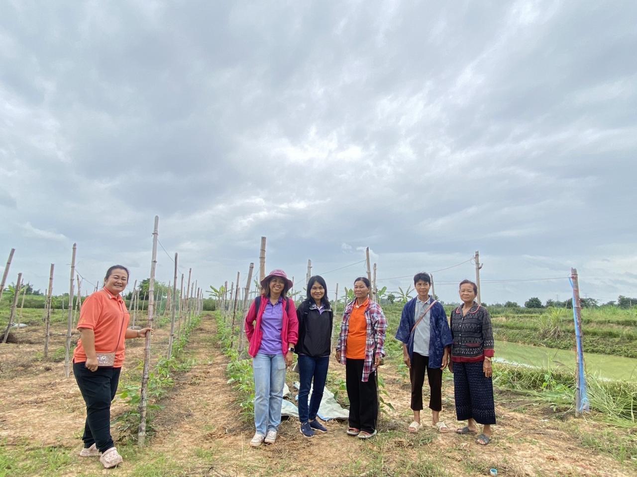 ภาพประกอบที่ 12