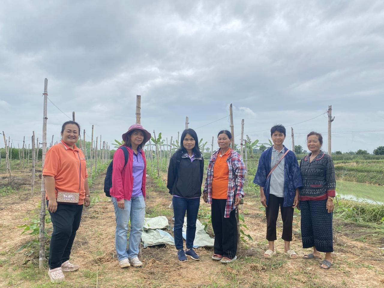 ภาพประกอบที่ 14