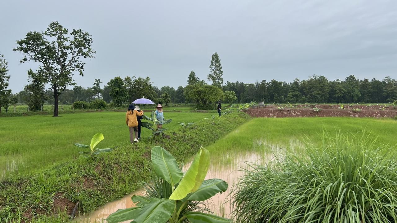 ภาพประกอบที่ 1