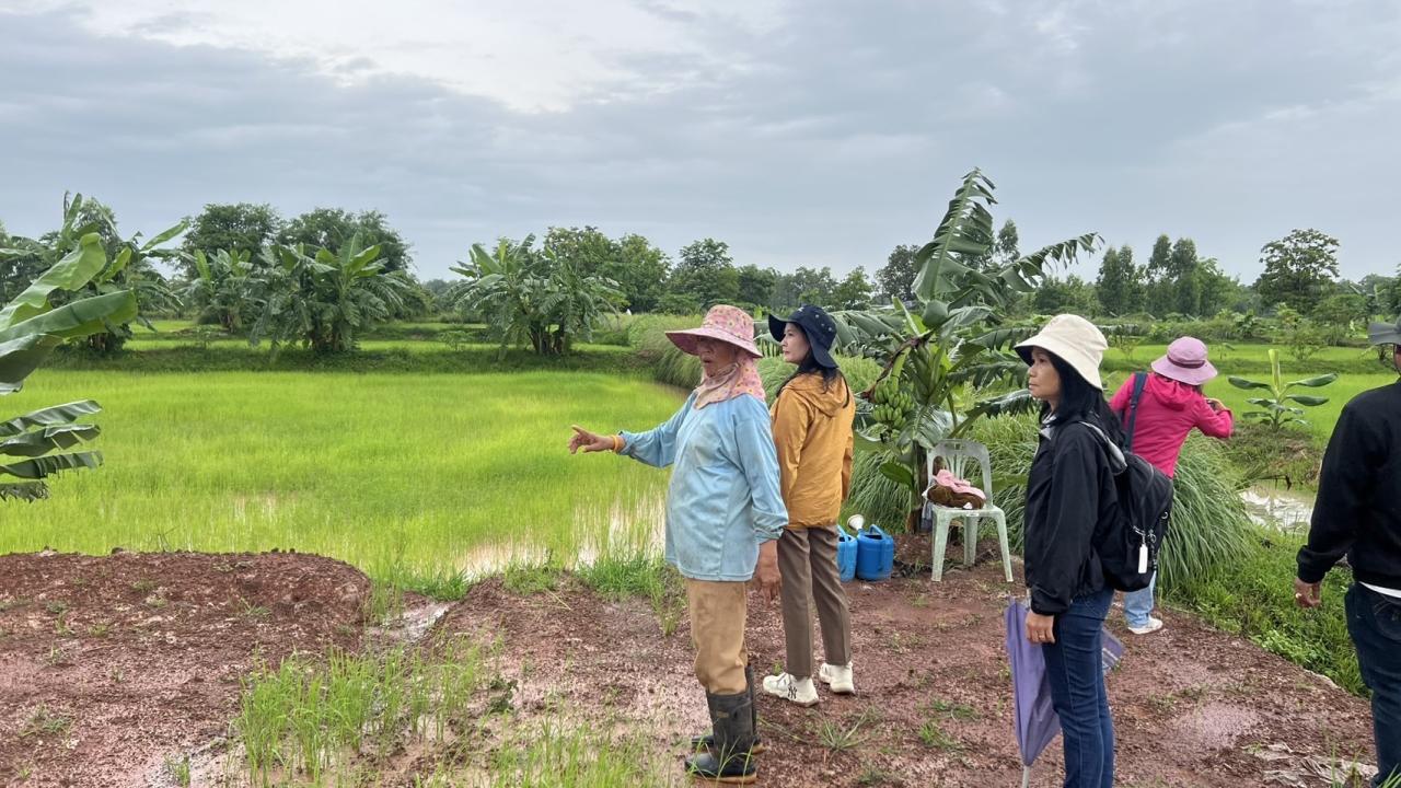 ภาพประกอบที่ 2