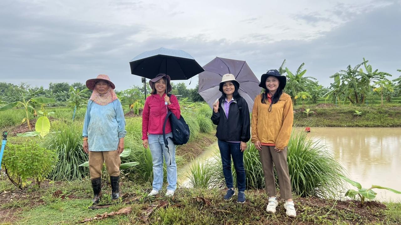 ภาพประกอบที่ 3