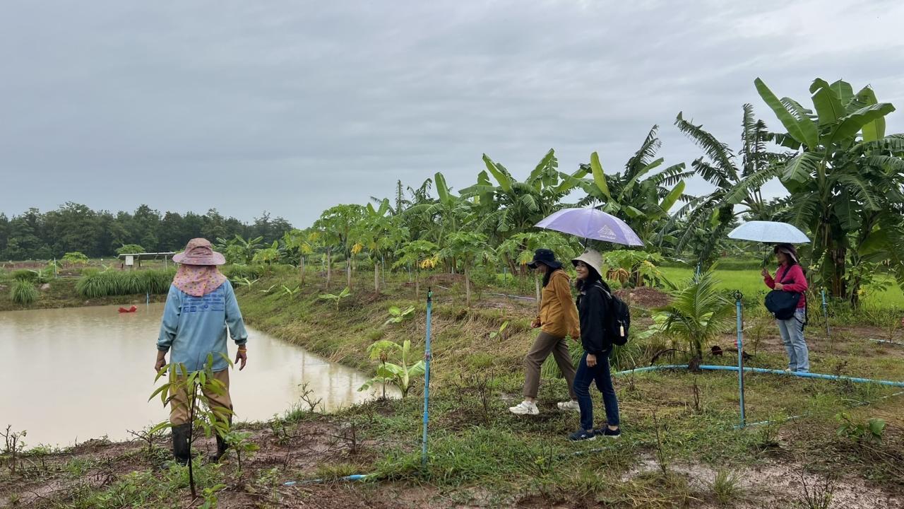 ภาพประกอบที่ 4