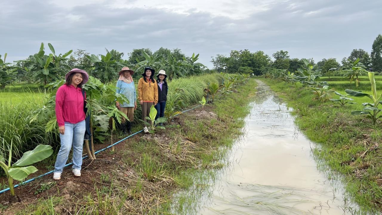 ภาพประกอบที่ 5