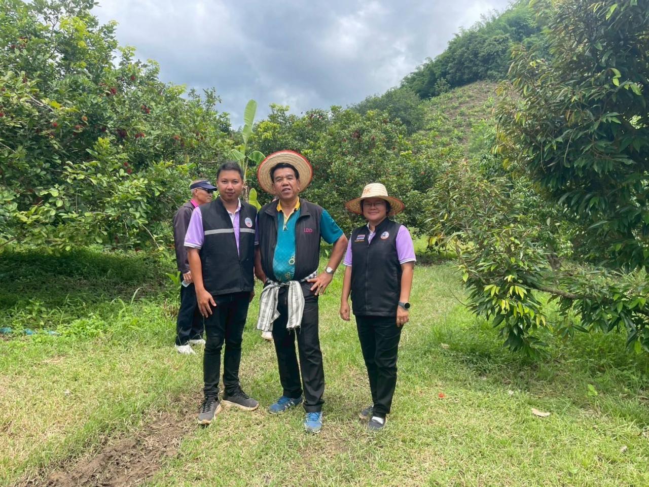 ภาพประกอบที่ 6