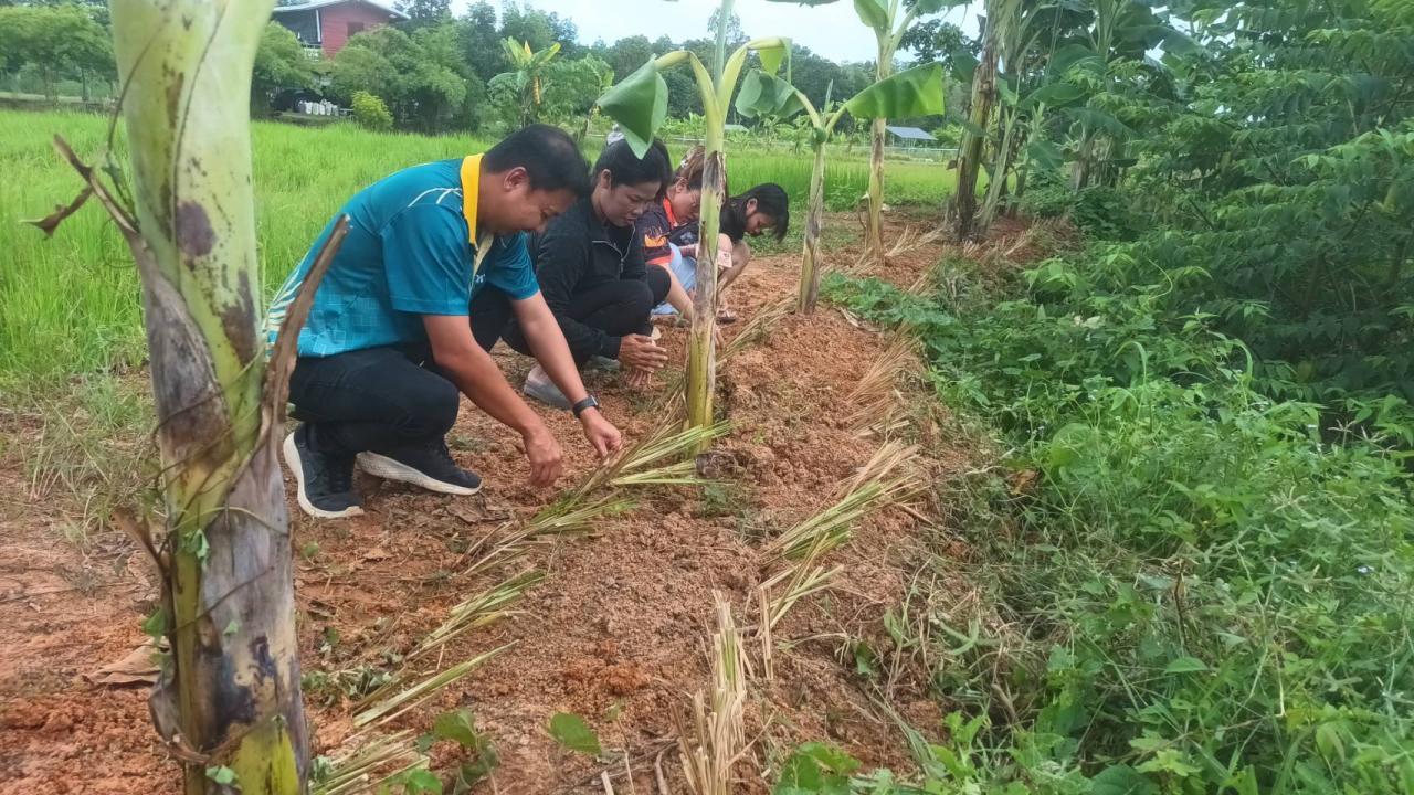 ภาพประกอบที่ 0