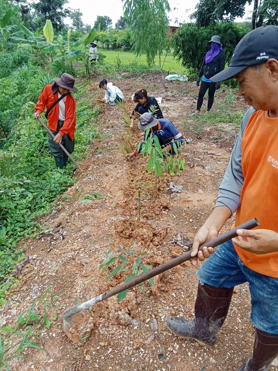 ภาพประกอบที่ 5