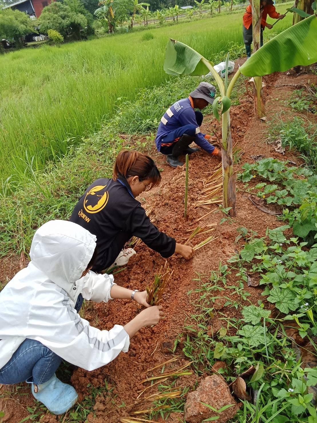 ภาพประกอบที่ 9