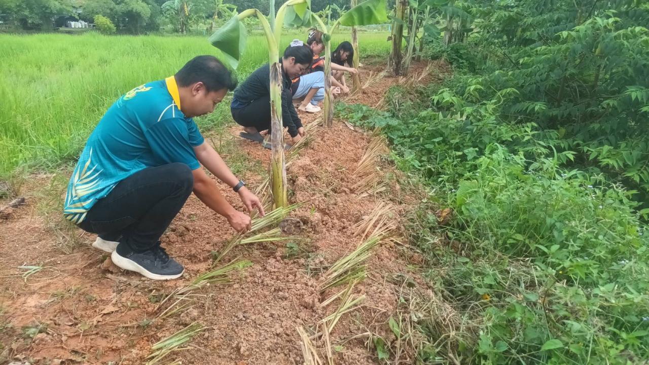 ภาพประกอบที่ 12