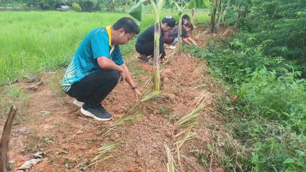 ภาพประกอบที่ 13