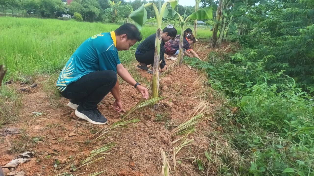 ภาพประกอบที่ 14