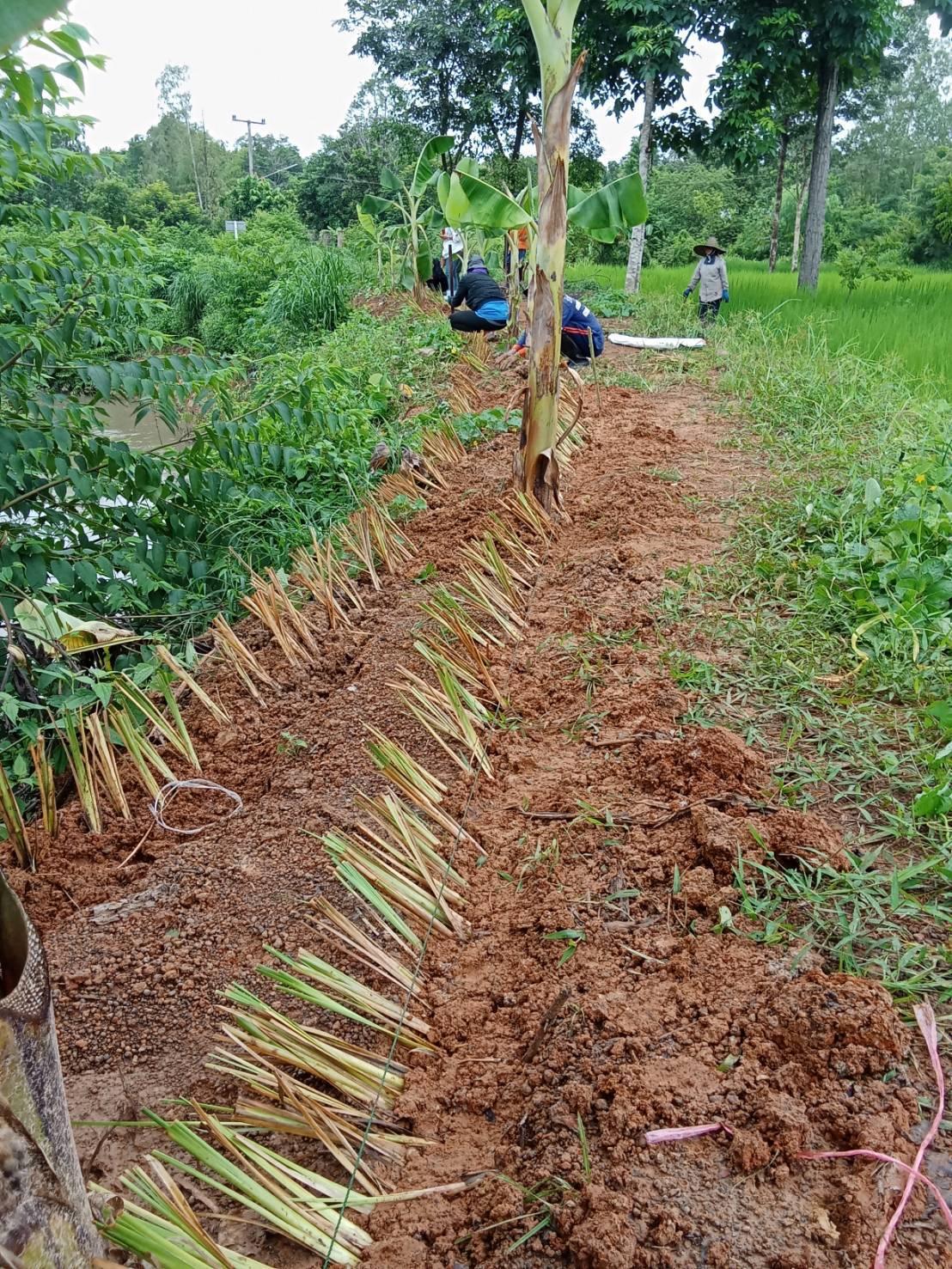 ภาพประกอบที่ 17