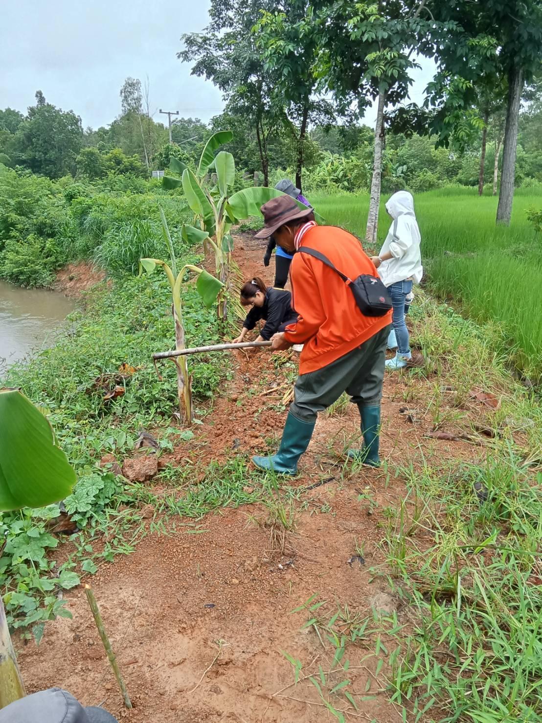 ภาพประกอบที่ 18