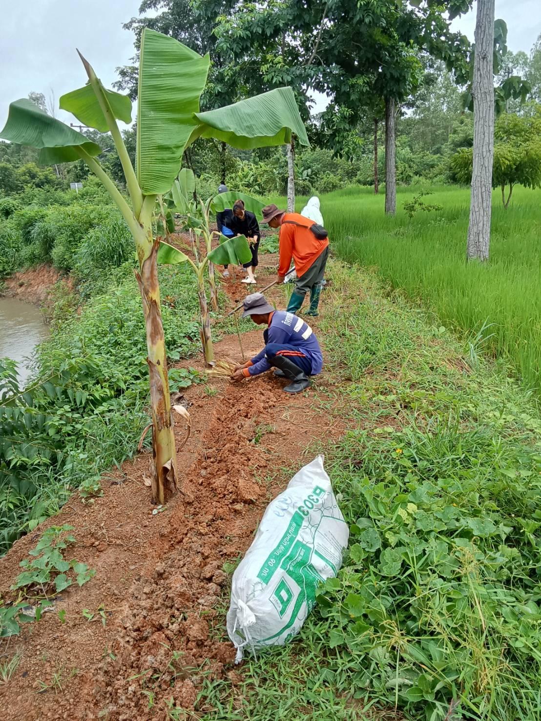 ภาพประกอบที่ 19