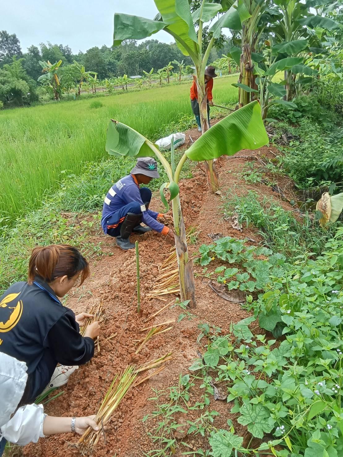 ภาพประกอบที่ 21