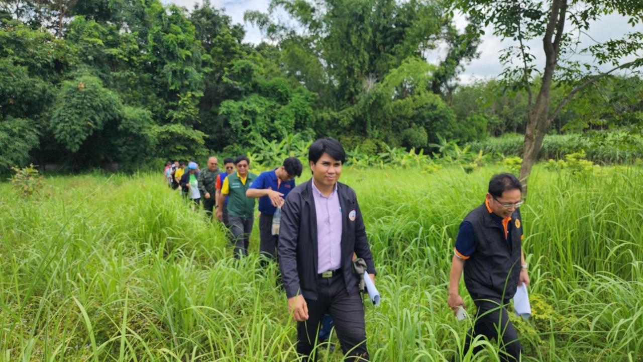 ภาพประกอบที่ 15