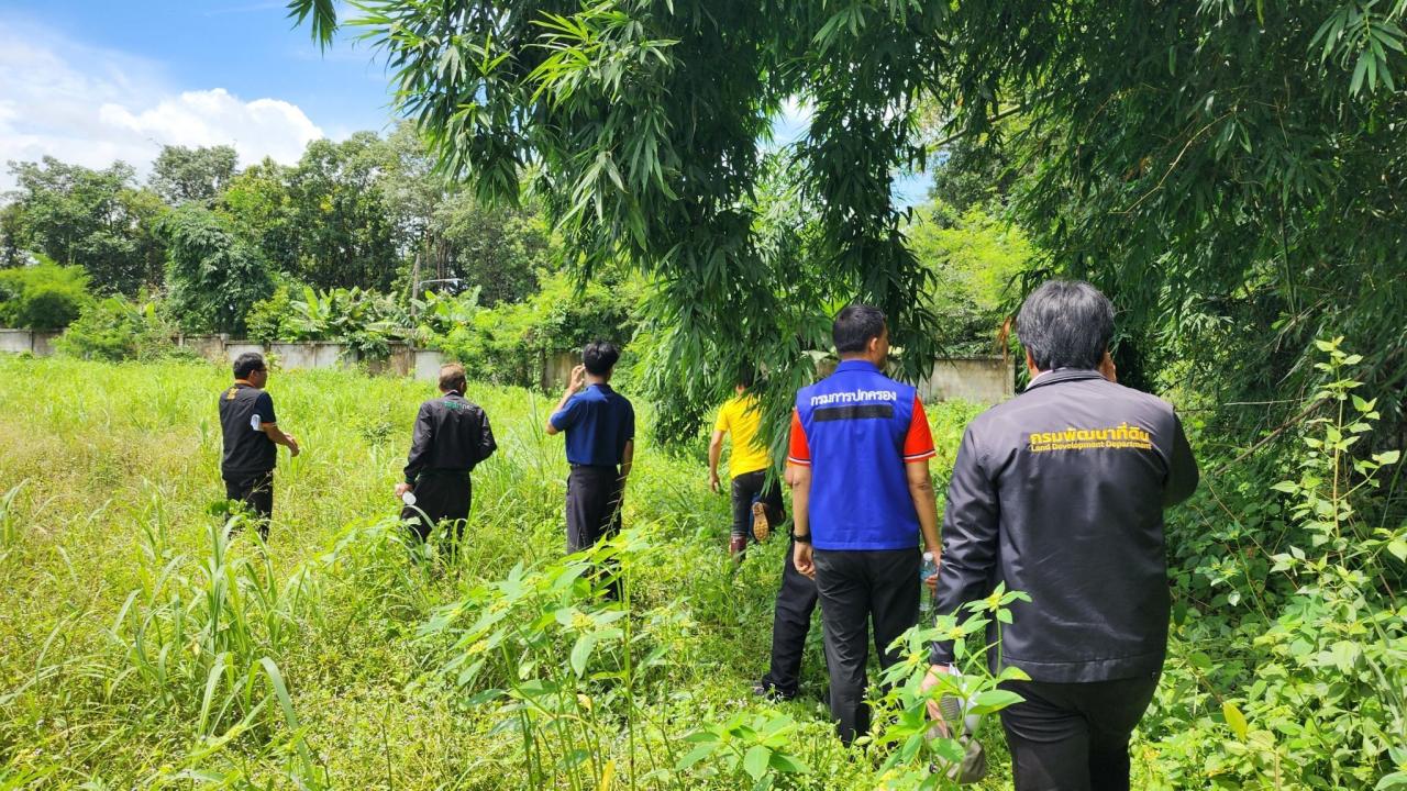 ภาพประกอบที่ 17