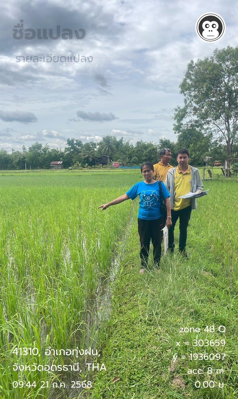 ภาพประกอบที่ 3