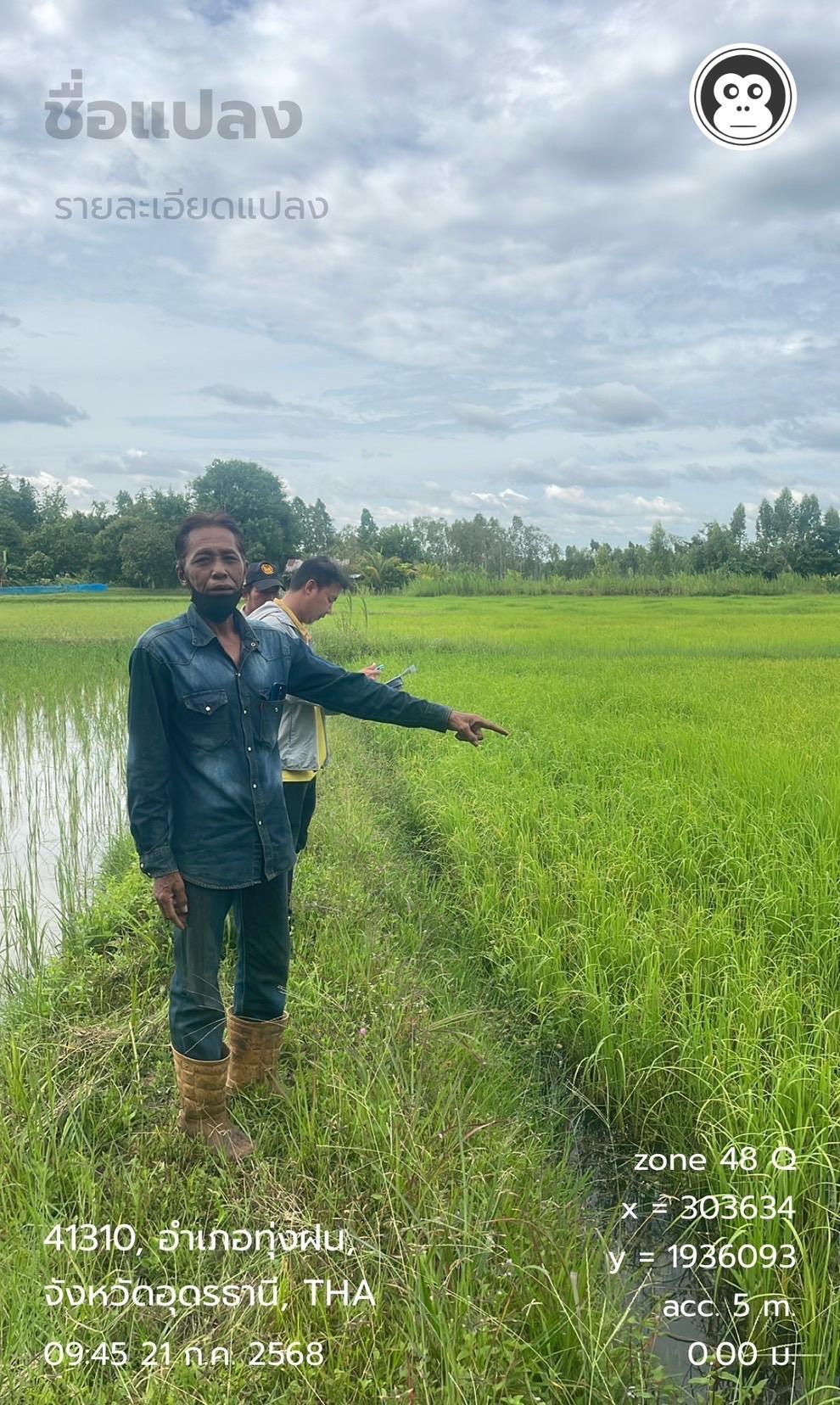 ภาพประกอบที่ 4