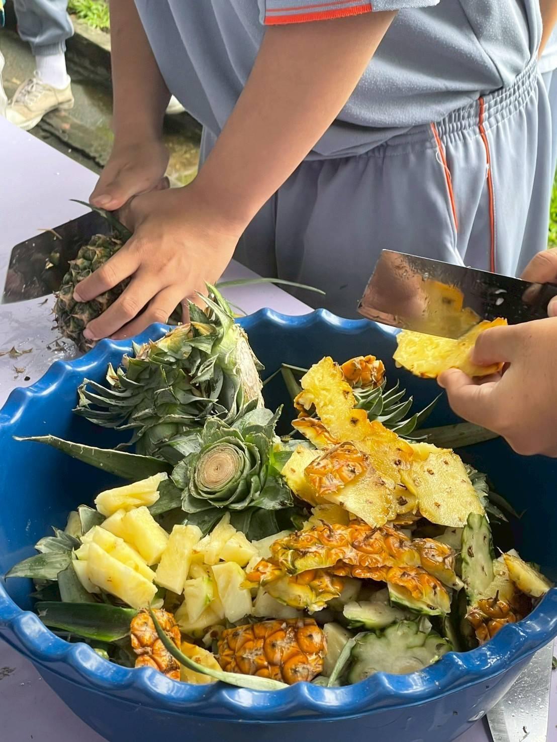 ภาพประกอบที่ 5