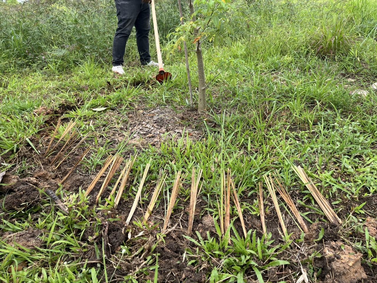 ภาพประกอบที่ 21