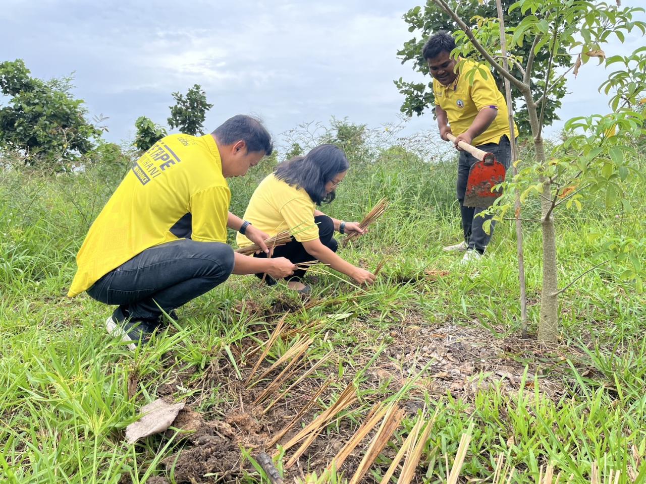 ภาพประกอบที่ 22