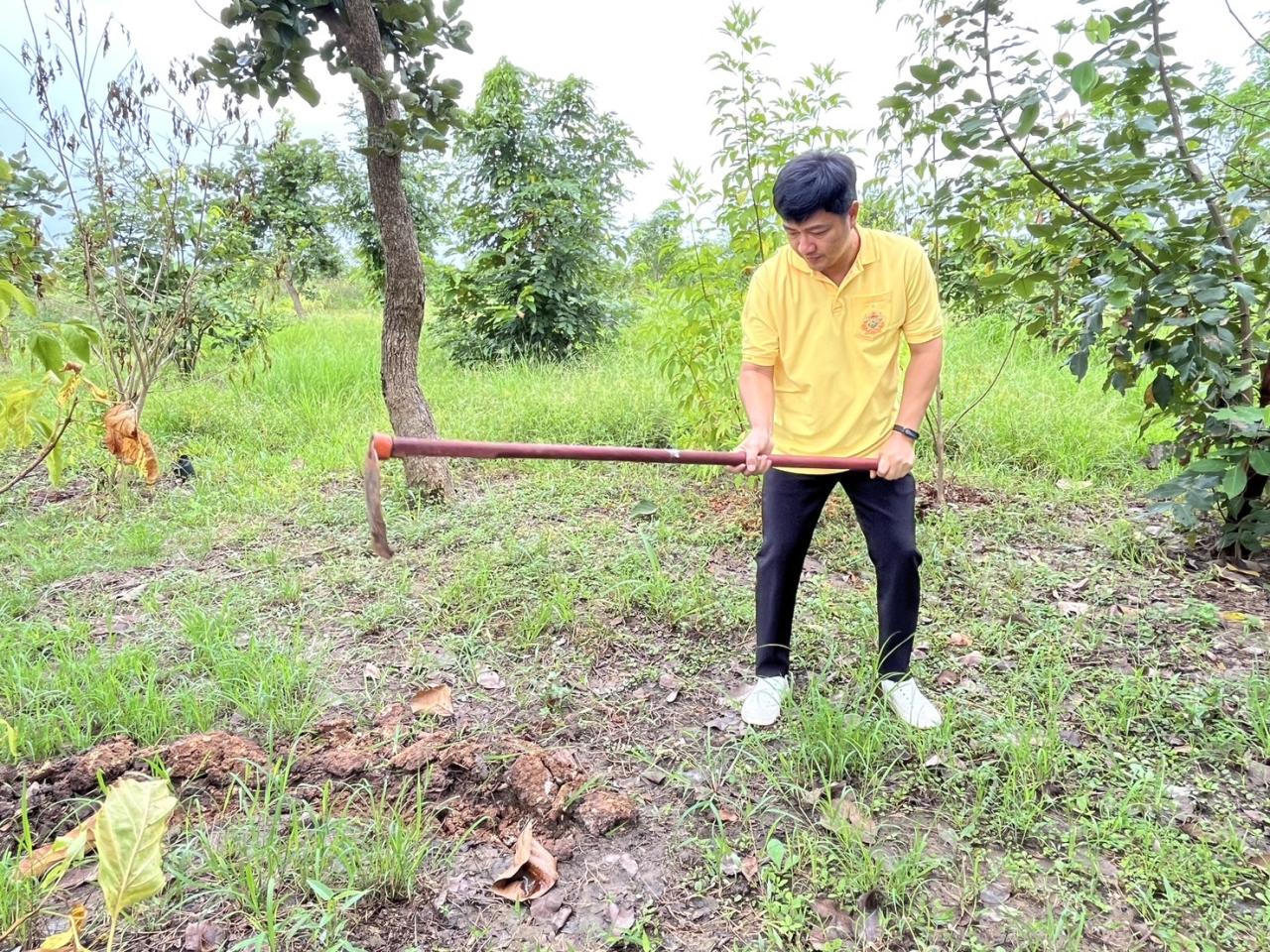 ภาพประกอบที่ 24