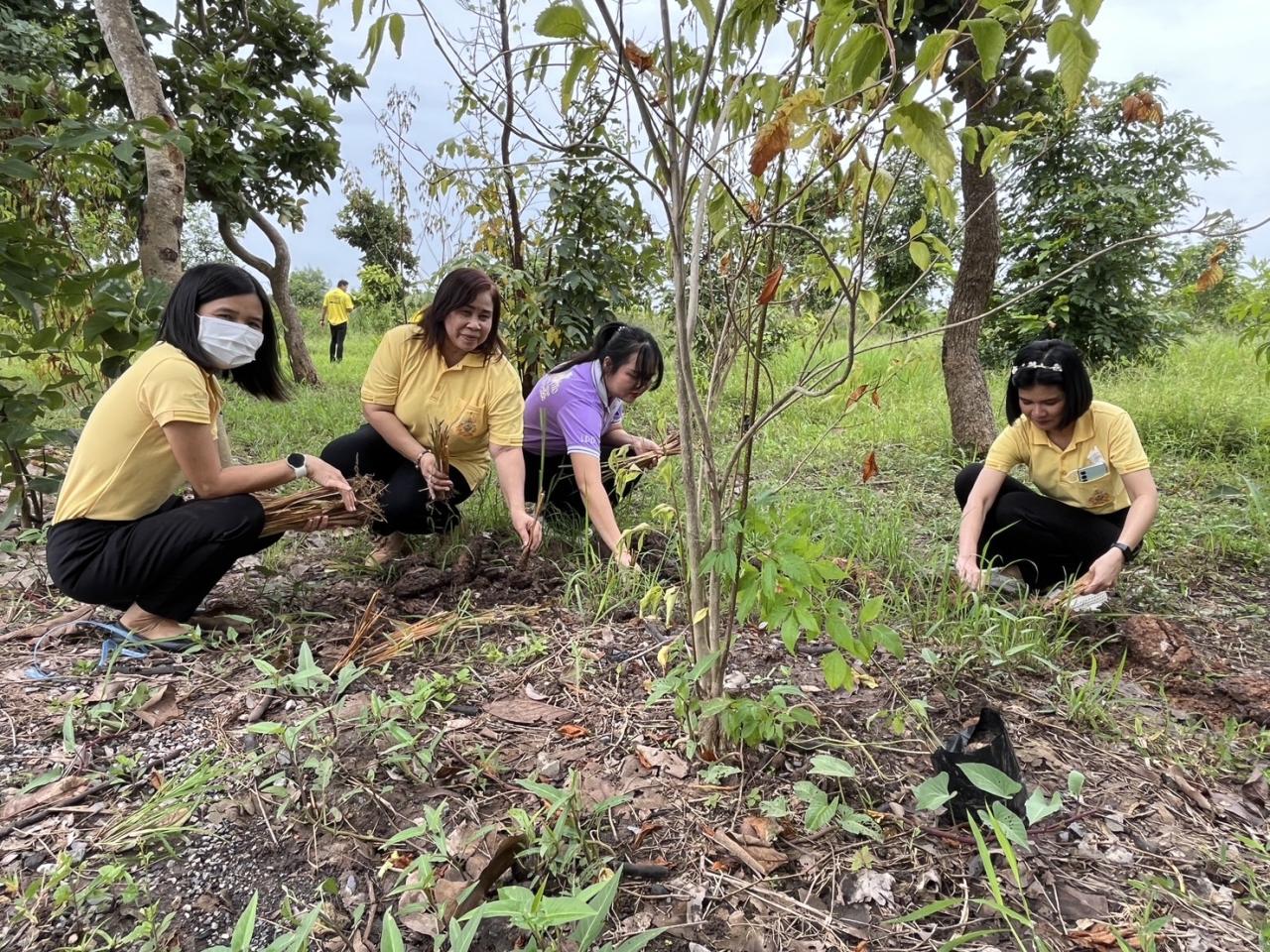 ภาพประกอบที่ 25