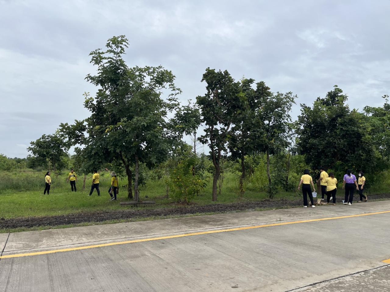 ภาพประกอบที่ 26