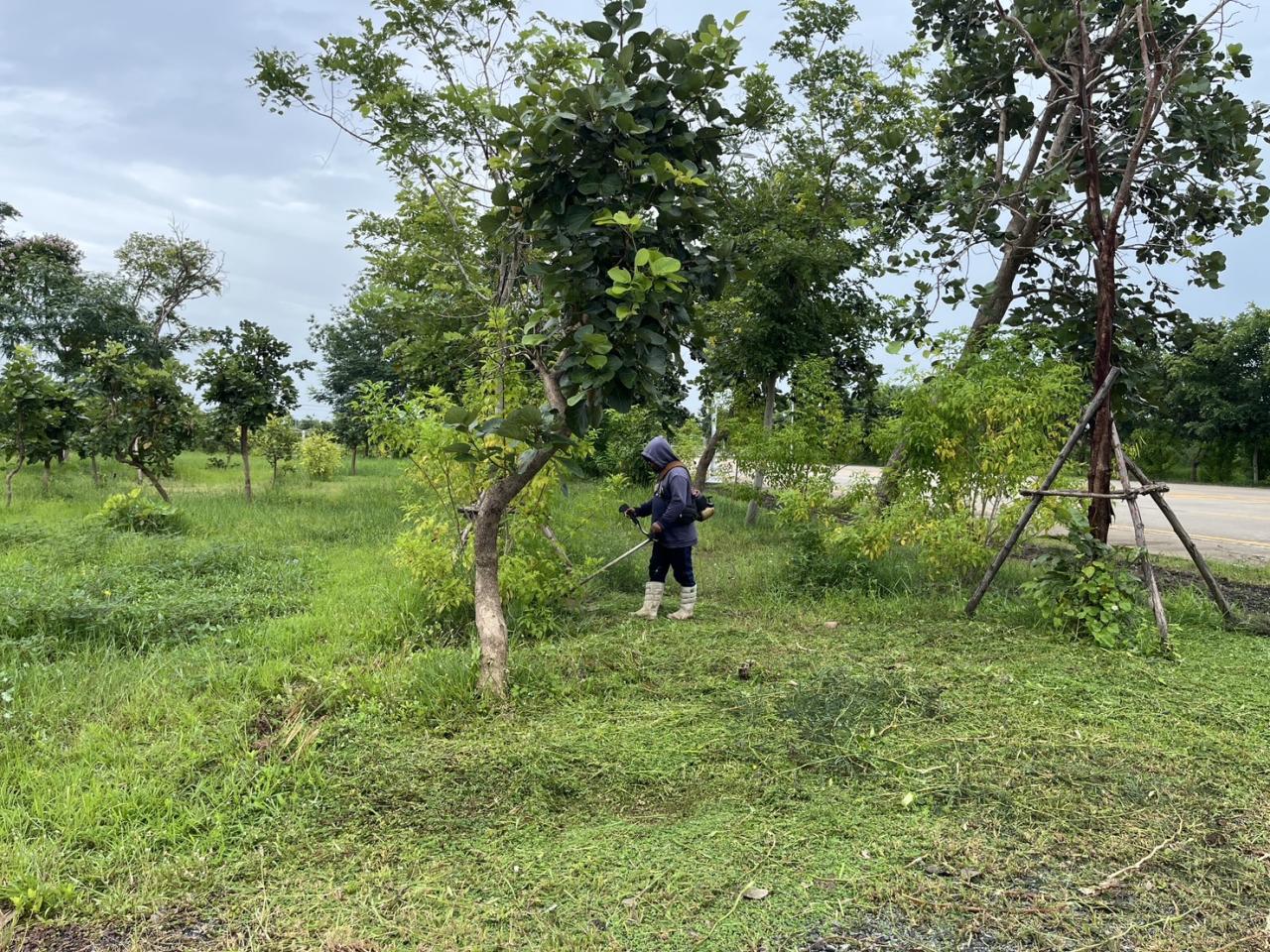 ภาพประกอบที่ 27