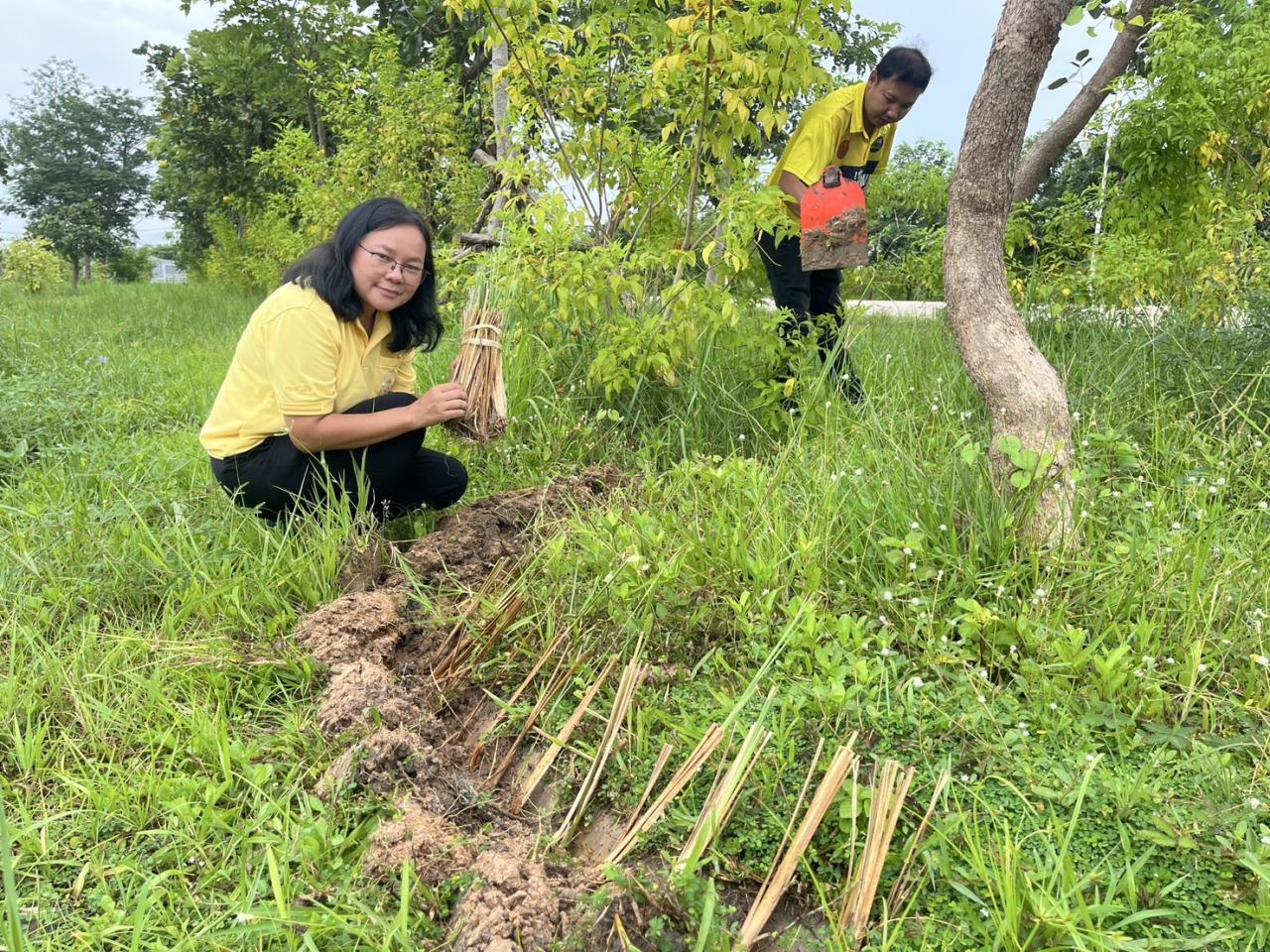 ภาพประกอบที่ 29