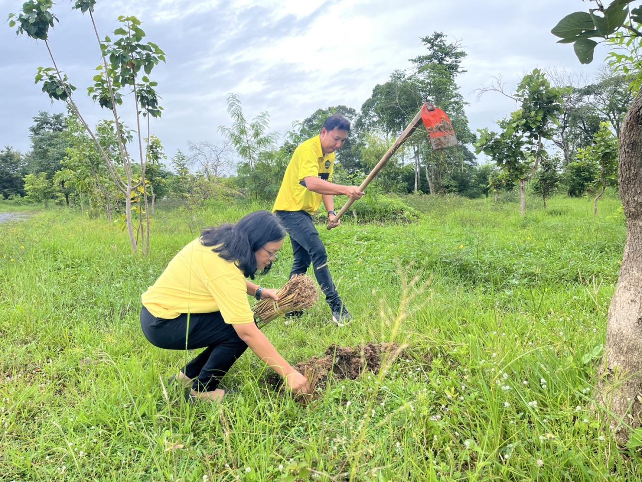 ภาพประกอบที่ 30