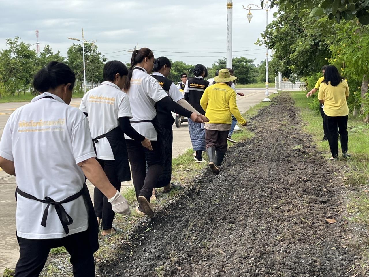 ภาพประกอบที่ 1