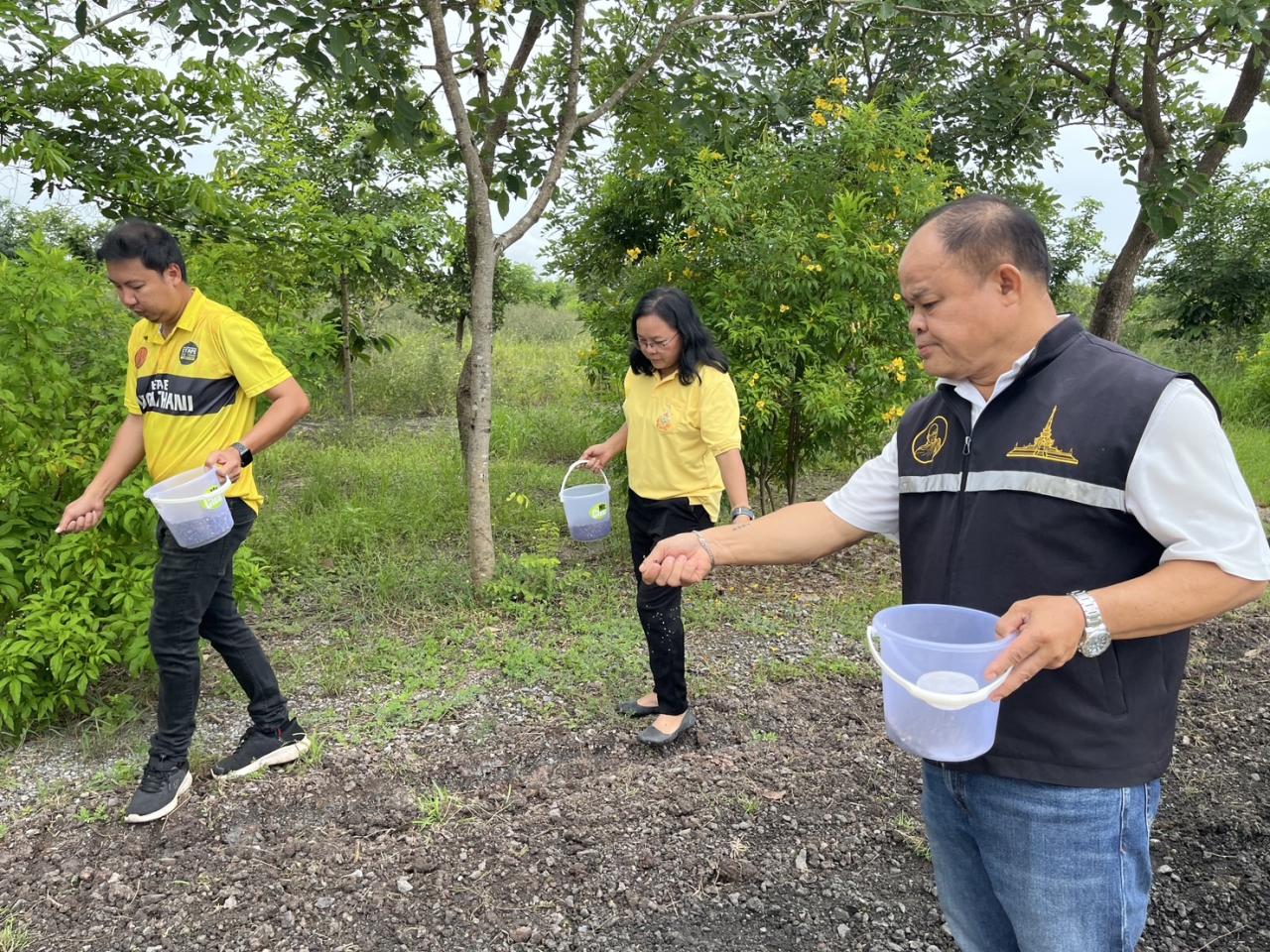 ภาพประกอบที่ 2