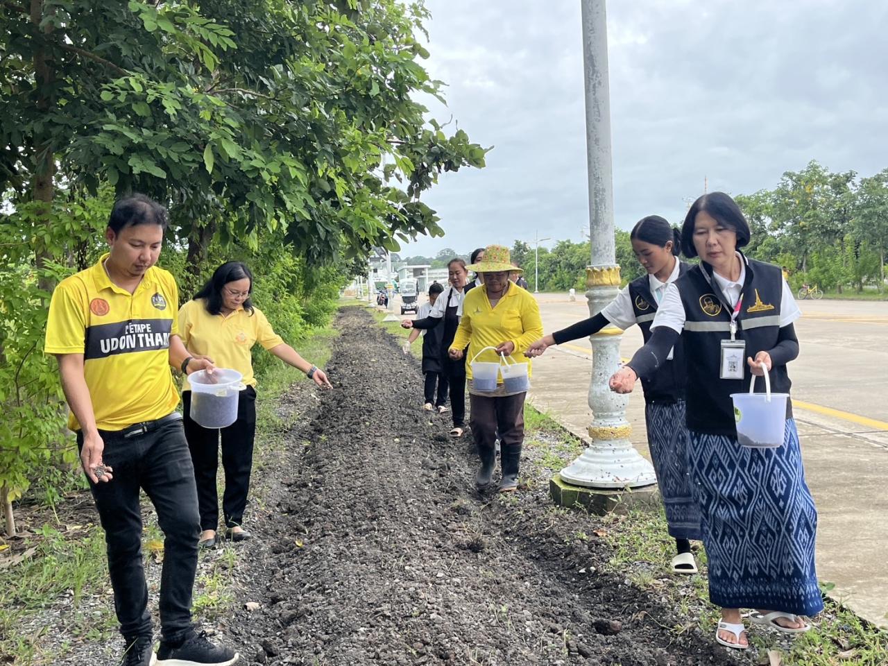 ภาพประกอบที่ 5