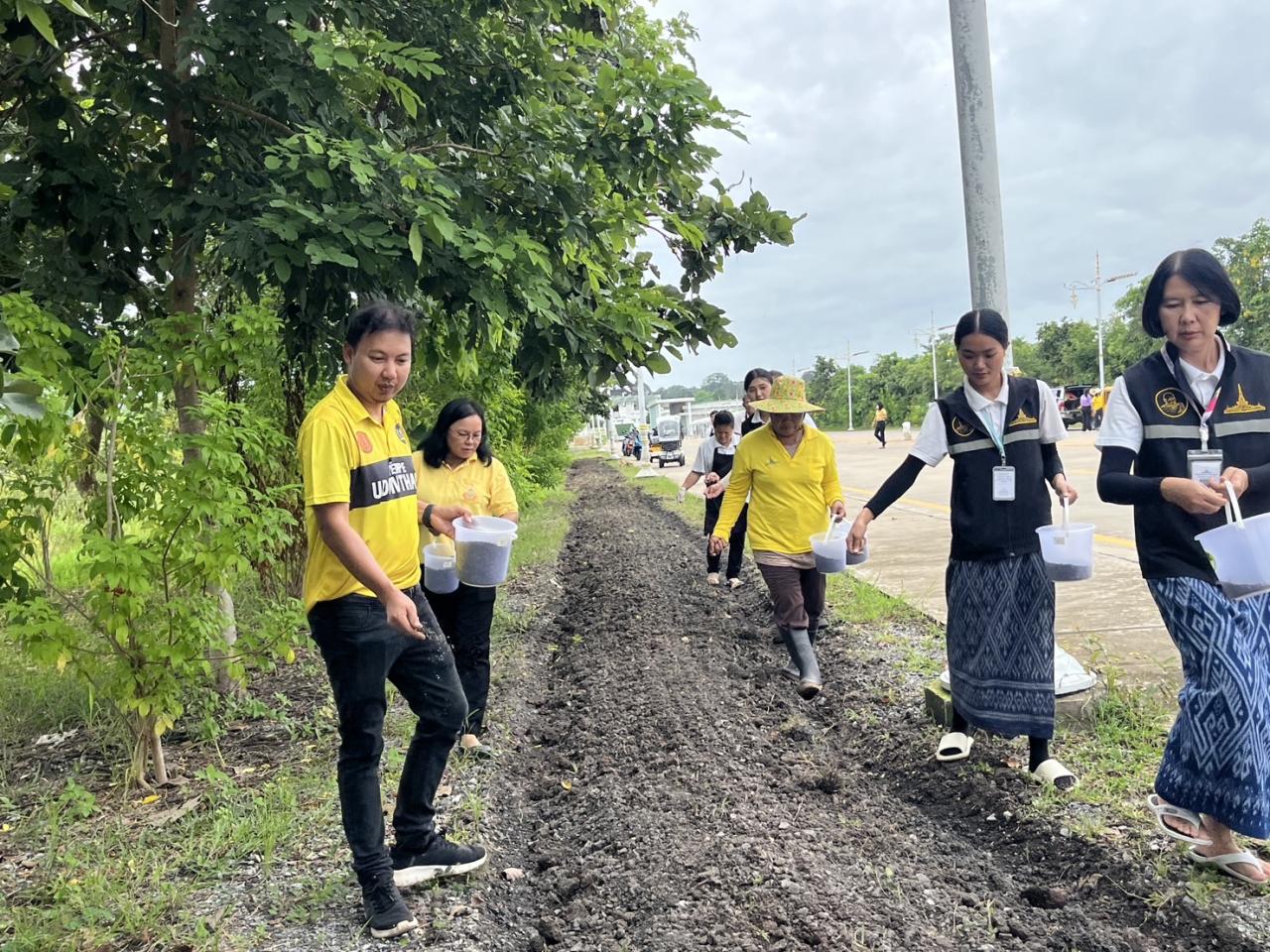 ภาพประกอบที่ 6