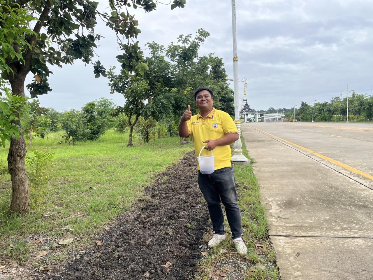 ภาพประกอบที่ 11