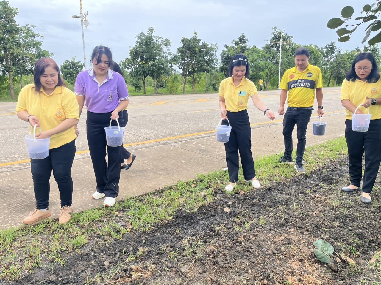 ภาพประกอบที่ 13