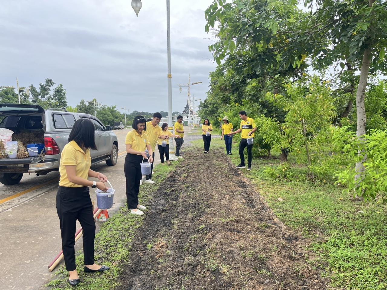 ภาพประกอบที่ 19