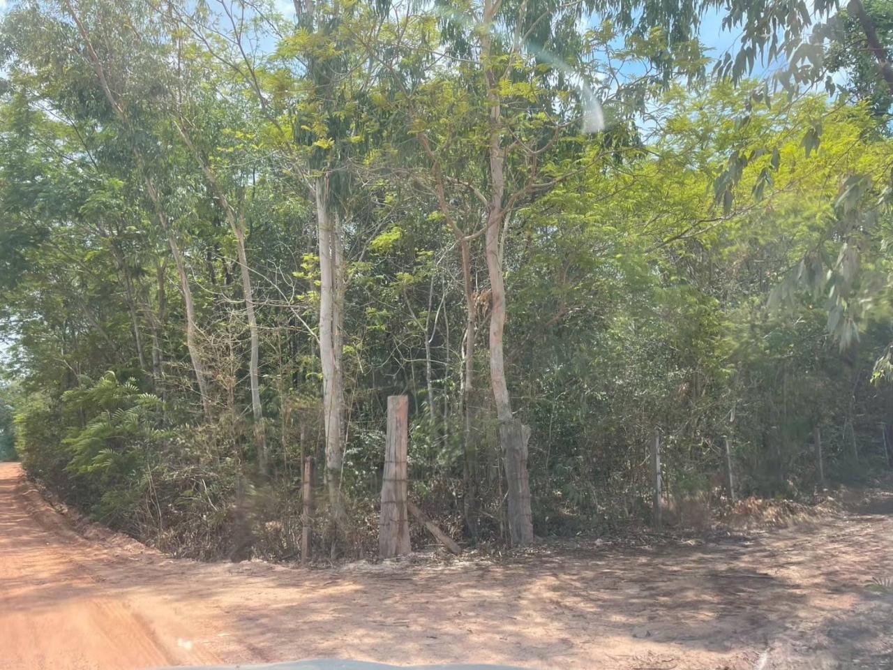 ภาพประกอบที่ 8