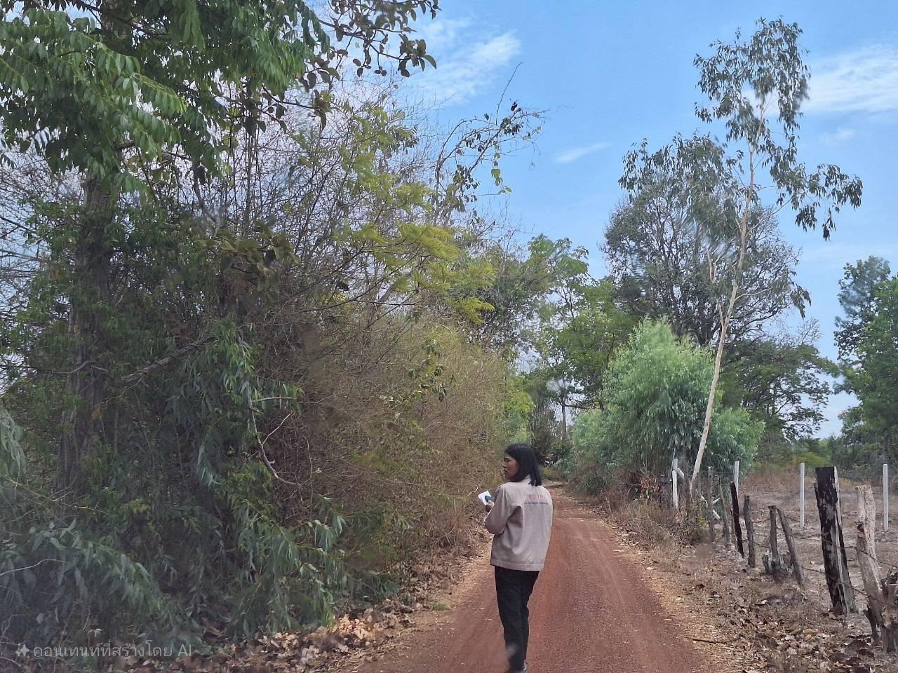 ภาพประกอบที่ 11