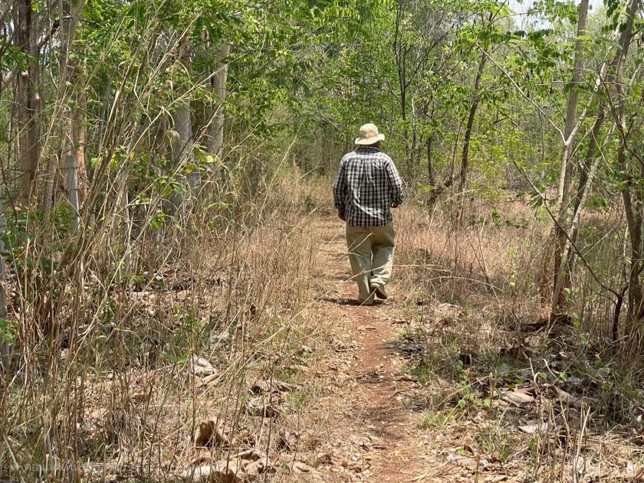 ภาพประกอบที่ 12
