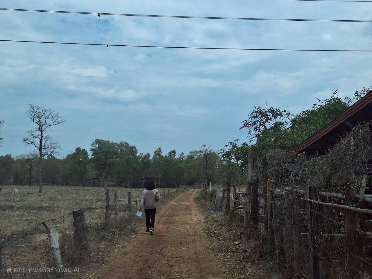 ภาพประกอบที่ 13