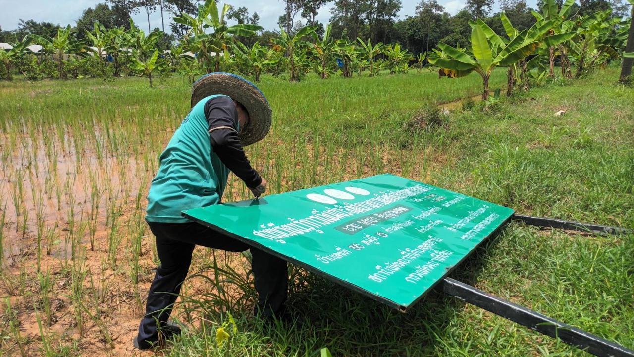 ภาพประกอบที่ 0