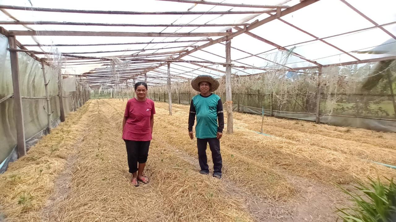 ภาพประกอบที่ 6