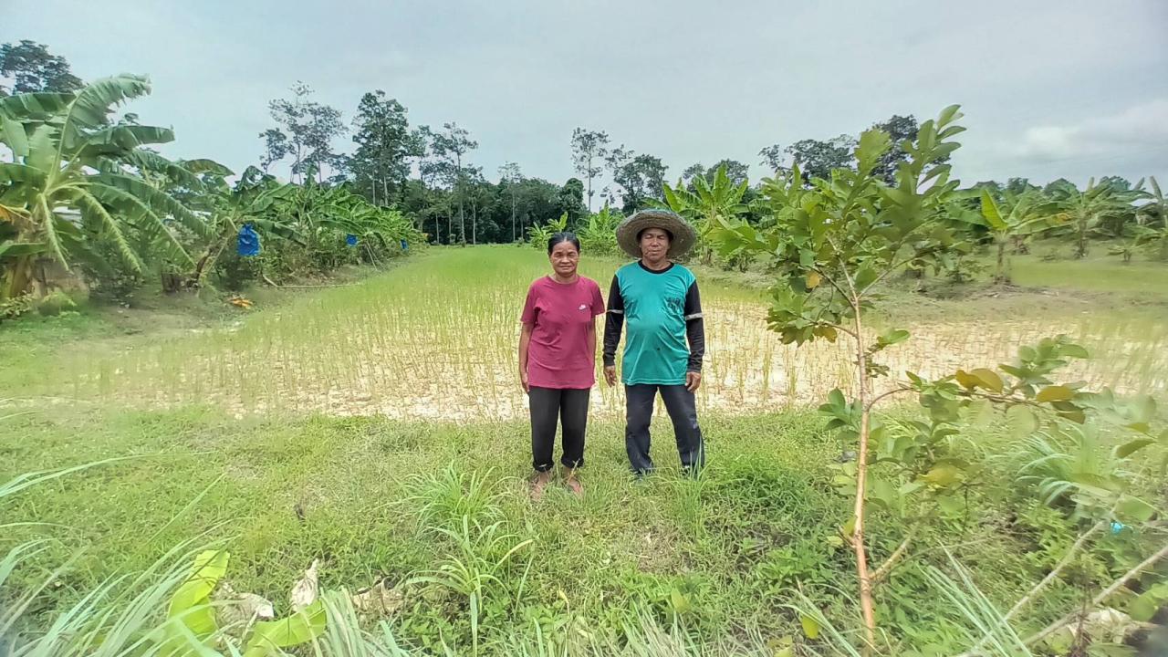 ภาพประกอบที่ 7