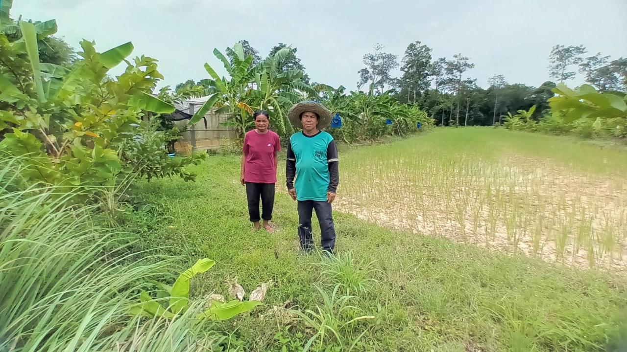 ภาพประกอบที่ 8