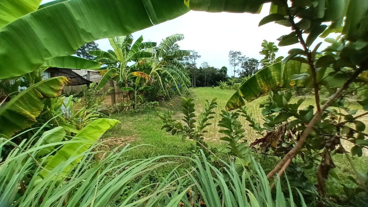 ภาพประกอบที่ 9