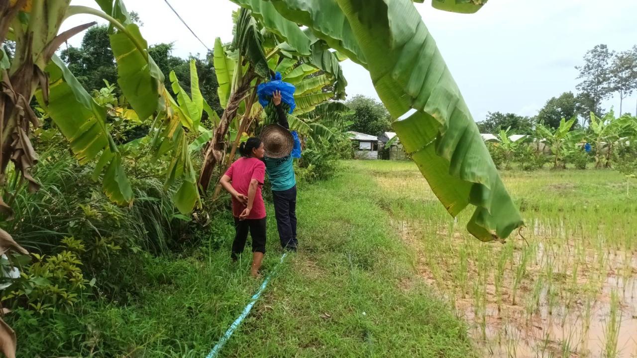 ภาพประกอบที่ 10