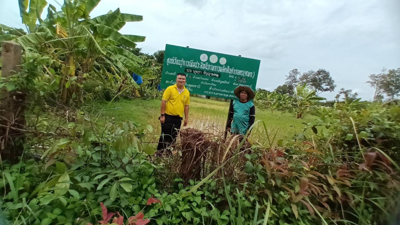 ภาพประกอบที่ 13
