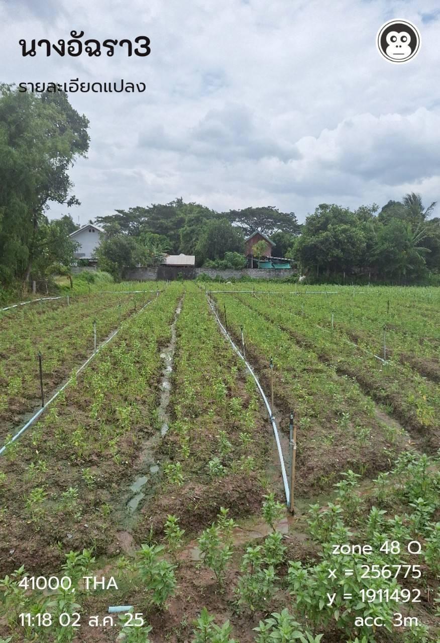 ภาพประกอบที่ 10